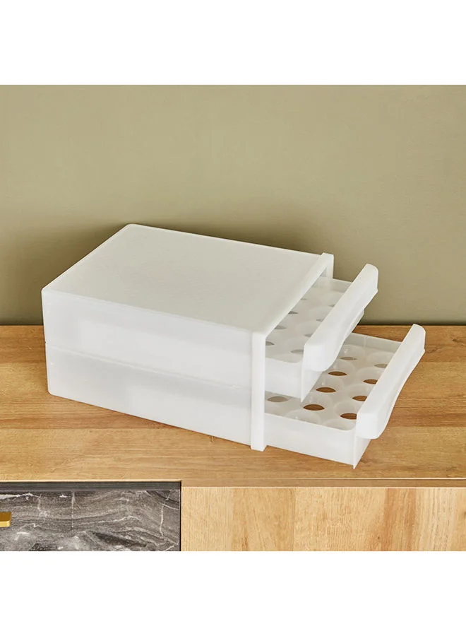 Home Box Essential 60 Egg Compartment Box 26x34x17 cm