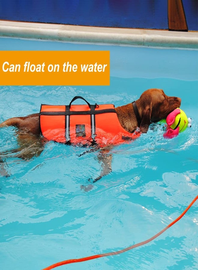 Vivifying Floating Long Dog Leash, 32FT Long Leash for Dog Training, Lightweight Check Cord for Outdoor, Hiking, Swimming, Beach and Lake - Image 2