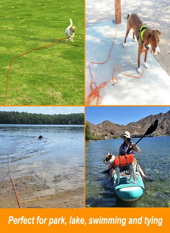 Vivifying Floating Long Dog Leash, 32FT Long Leash for Dog Training, Lightweight Check Cord for Outdoor, Hiking, Swimming, Beach and Lake - Image 5