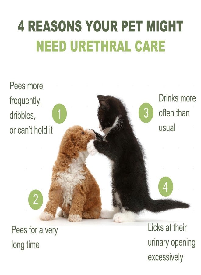 MARIMER Urinary Health Supplement for Cats and Dogs - Cranberry, Herbal Extracts & Vitamins - Supports Urinary Tract, Reduces Infections & Stones - All Life Stages, 3.38oz - Image 3
