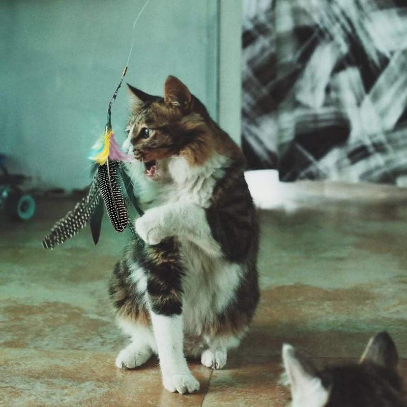 Highland Farms Select Handmade Natural Feather Cat Toy Da Bird Refills - Interactive Cat and Kitten Toy - 6 Pack - Image 5