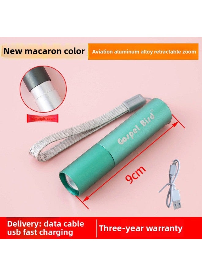 New Small Flashlight Strong Light Mini Rechargeable Children's Household Portable Durable Girls Lithium Battery Outdoor D 