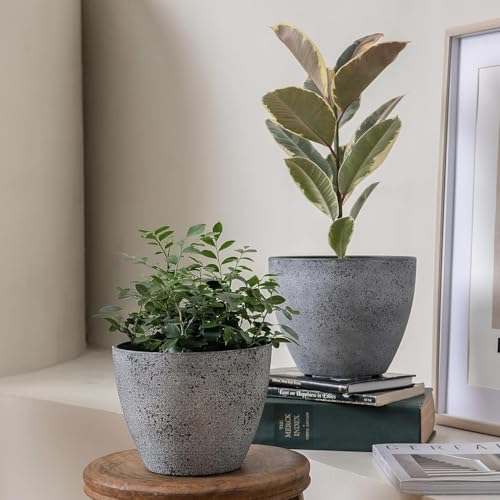 Fox & Fern Premium Unbreakable Fiber Planter for Vibrant Garden | Enhance The Ambiance of Your Home, Office Or Garden (Pack of 1) (Dia. 29Cm)(Ga-38C-008),Multicolor - Image 2
