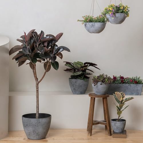 Fox & Fern Premium Unbreakable Fiber Planter for Vibrant Garden | Enhance The Ambiance of Your Home, Office Or Garden (Pack of 1) (Dia. 29Cm)(Ga-38C-008),Multicolor - Image 5