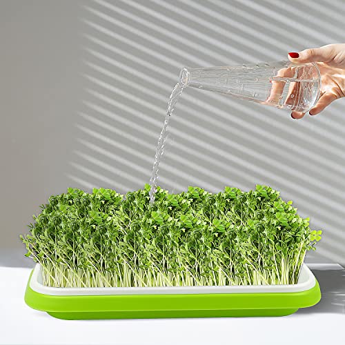 SDLDEER Seed Sprouting Tray 10 Pack, Microgreens Growing Trays Big Capacity Sprouts Growing Kit Soil-Free Sprouter Tray for Sprouting Seeds, Beans, Wheatgrass - Image 3
