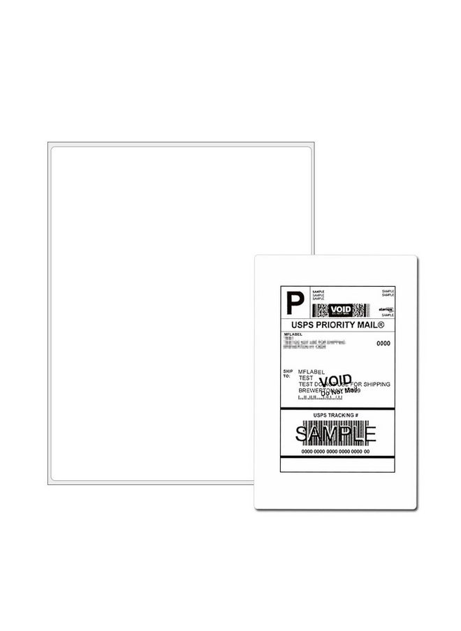 FungLam - Full Sheet Address Shipping Labels 81/2" X 11" 100 Labels - Image 1