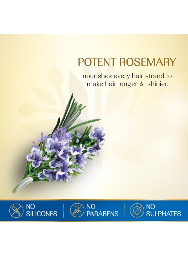 Herbsindia Rosemary & 7 Herbal Seeds Hair Oil With Nourish Tube 180 ml - Image 5