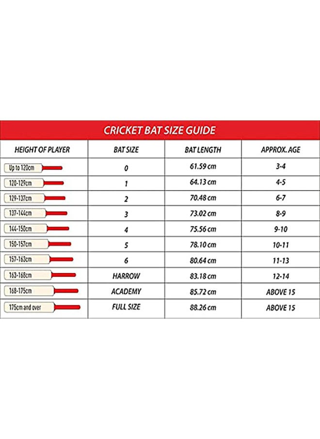 DSC - Intense Storm Cricket Bat | Size: Short Handle | Material: Kashmir Willow | Ball Type : Leather Ball | Playing Style : All-Round | Crosswave Band | Players Skill level: ‎Intermediate - Image 1