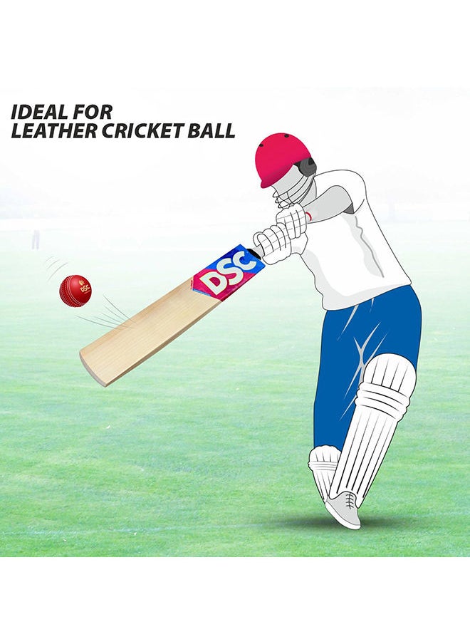 DSC - Intense Storm Cricket Bat | Size: Short Handle | Material: Kashmir Willow | Ball Type : Leather Ball | Playing Style : All-Round | Crosswave Band | Players Skill level: ‎Intermediate - Image 1
