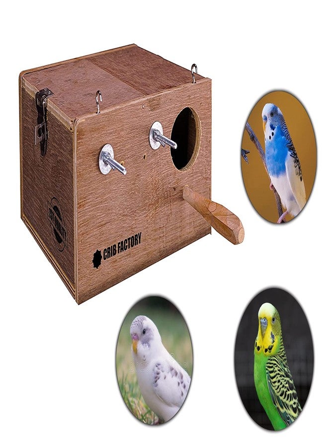 Crib factory Breeding Box for Budgies | HIGH-QALITY Plywood | Budgerigar, African Bird Box (Medium Box 10 X 7 X 7 INCH) - Image 5