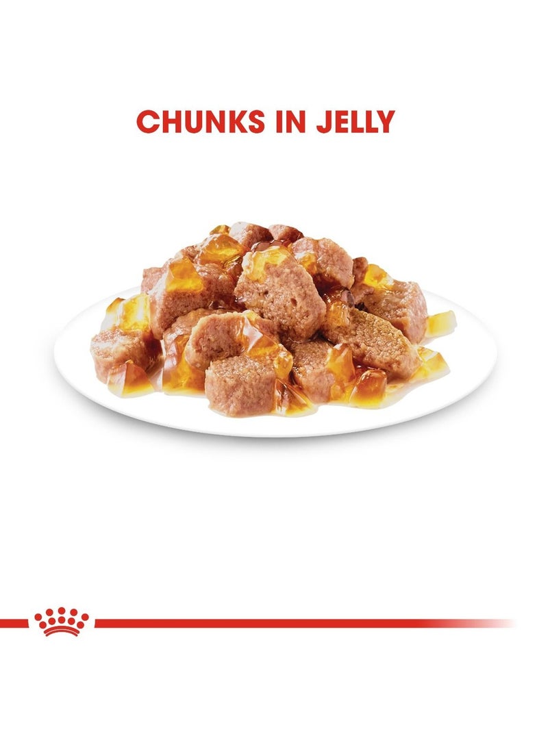 رويال كانين غذاء رويال كانين للقطط من رويال كانين هيلث نيوتريشن المعقم (طعام رطب - أكياس) 12 × 85 جم - Image 3