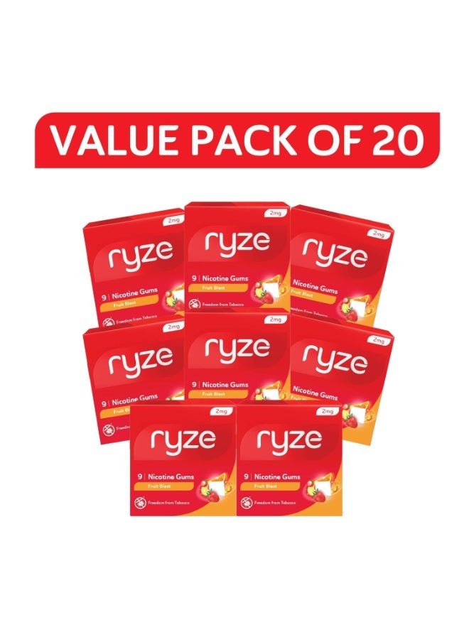 رايز علكة رايز نيكوتين ٢ ملغ | بنكهة الفواكه المنعشة | علكة طرية، سهلة على الحلق، خالية من السكر | للإقلاع عن التدخين والمضغ | الإقلاع عن التدخين | ٩ علكات | عبوة من ٢٠ - Image 1