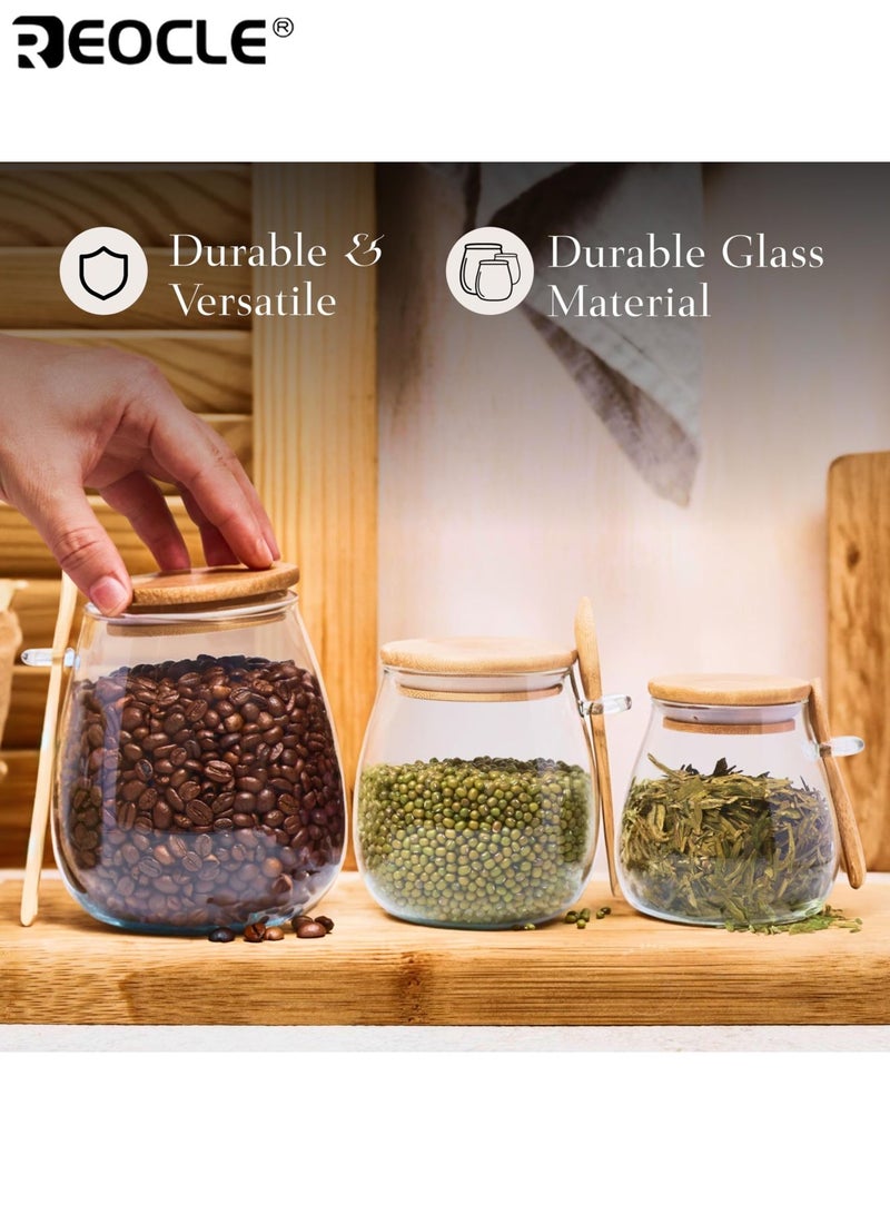 REOCLE 3pcs Sealed Glass Storage Jar Set with Spoon Airtight Container for Coffee Sugar Tea Salt Candy Kitchen Pantry Organization Essentials - Image 3