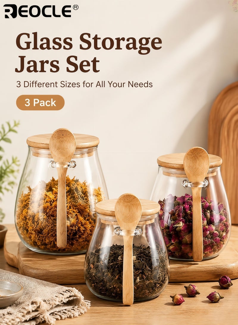 REOCLE 3pcs Sealed Glass Storage Jar Set with Spoon Airtight Container for Coffee Sugar Tea Salt Candy Kitchen Pantry Organization Essentials - Image 1