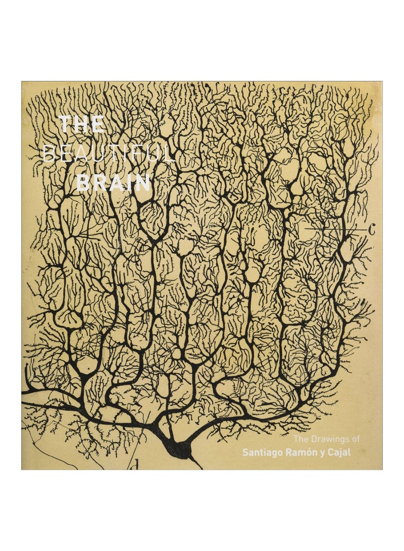 The Beautiful Brain