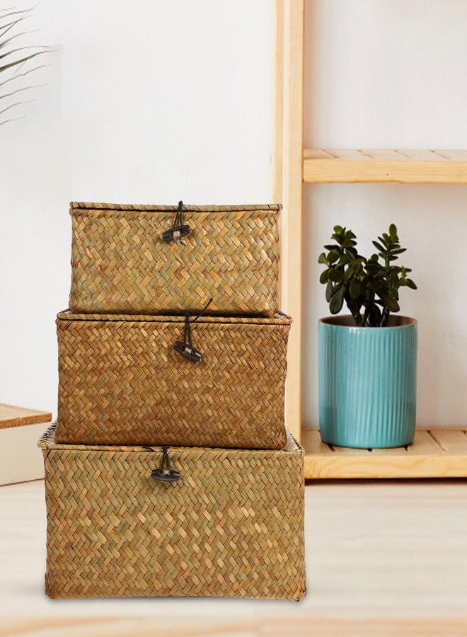 Vosarea Rattan Storage Basket Makeup Organizer Multipurpose Container with Lid (S//L) - Image 3