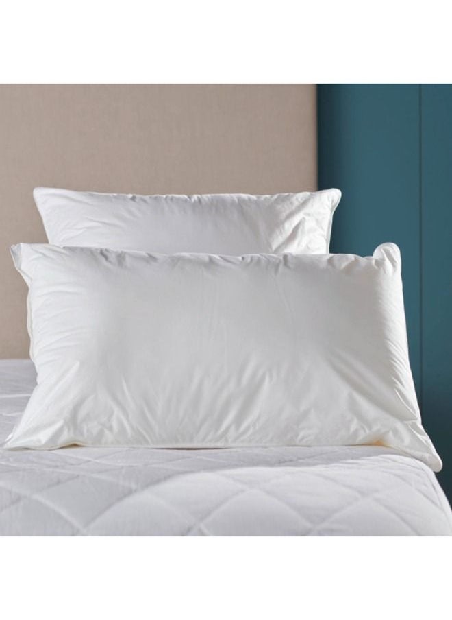 Natural Duck Feather Pillow