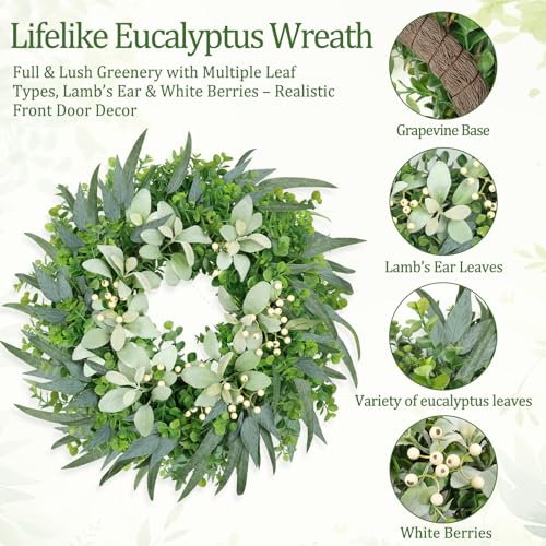 Zmtyykh 26 Inch Eucalyptus Wreath Large Spring Wreath for Front Door with Lamb’s Ear White Berries Outdoor Wreath Farmhouse Home Decor Front Porch Wall Indoors Greenery Wreath for All Seasons Summer - Image 3