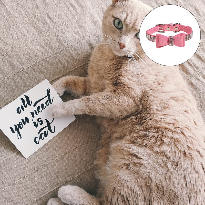 🐾 طوق كلب قابل للتعديل ومريح للاستخدام اليومي بتصميم متين من المايكروفايبر - Image 4