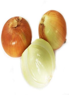 50 Pcs Onion Seed Garden/Indoor/Container Planting Vegetable Plant Non-GMO Superior Varieties Seeds