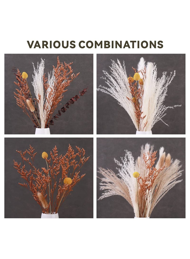 Pampas Grass Dried Plants  Baytion Natural Dried Pampas Bouquets 17" Boho Home Decorative Dried Flowers for Table Vase Flower Arrangement Wedding Party Home Decorations  - Image 5
