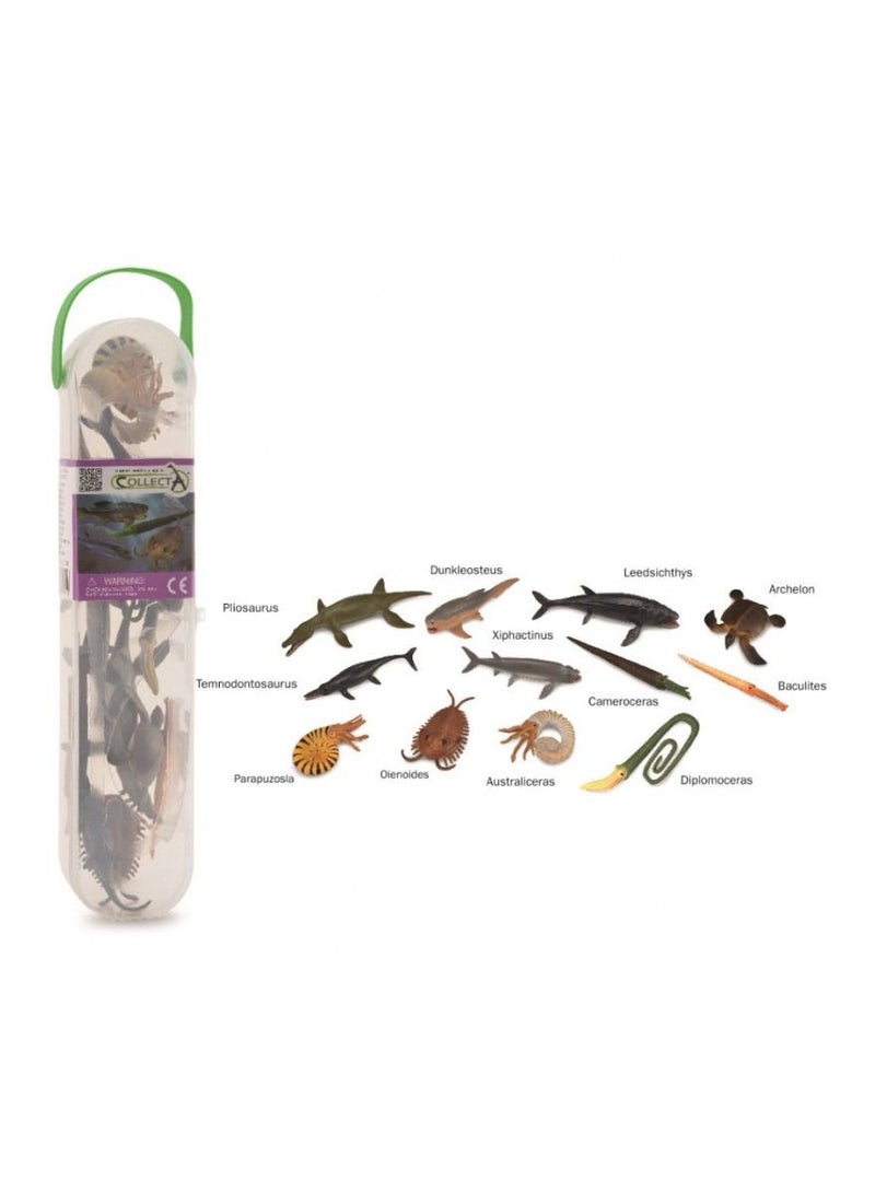 Collecta - Mini Prehistoric Marine 12 Pieces - A1104 - Image 3