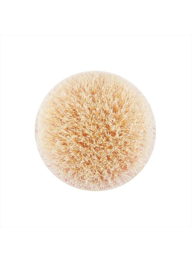 Ecotools فرشاة الجسم الجافة، لروتين العناية بالبشرة بعد الاستحمام، تزيل الأوساخ وتعزز الدورة الدموية، تساعد في تقليل مظهر السيلوليت، صديقة للبيئة، نباتية وخالية من القسوة، 1 قطعة - Image 4