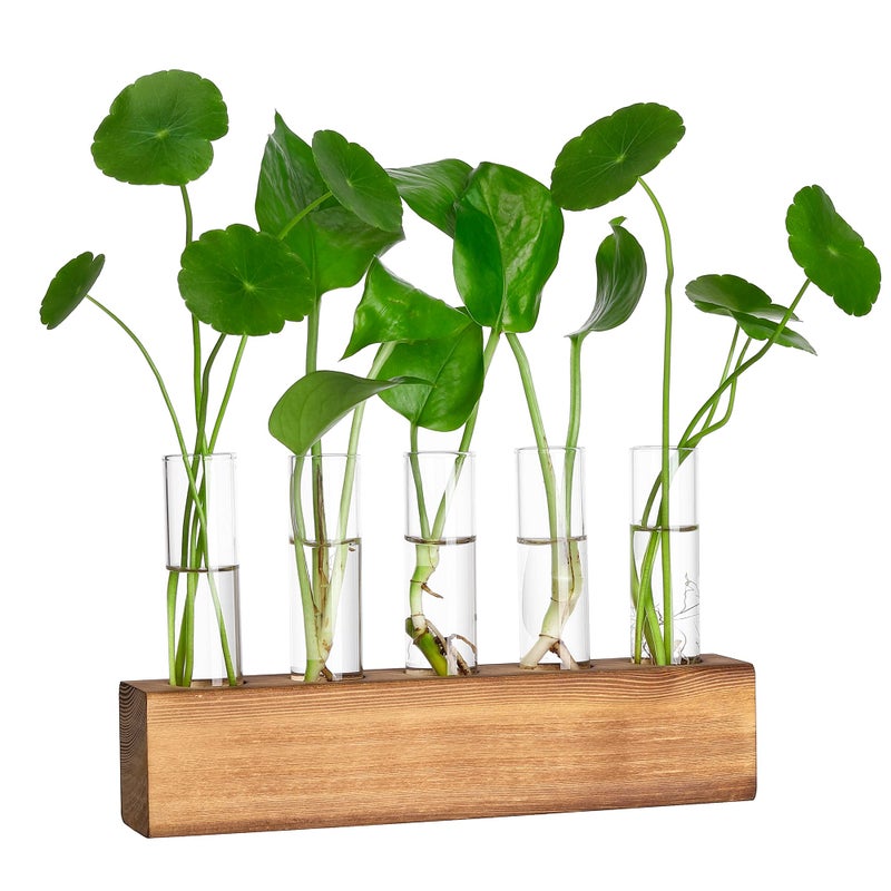 YIBOT Propagation Stations, Plant Terrarium with Wooden Stand, Birthday Gardening Gifts for Women Mom Plant Lovers,Home Office Desk Decor, 5 Glass Test Tubes Vases - Image 1