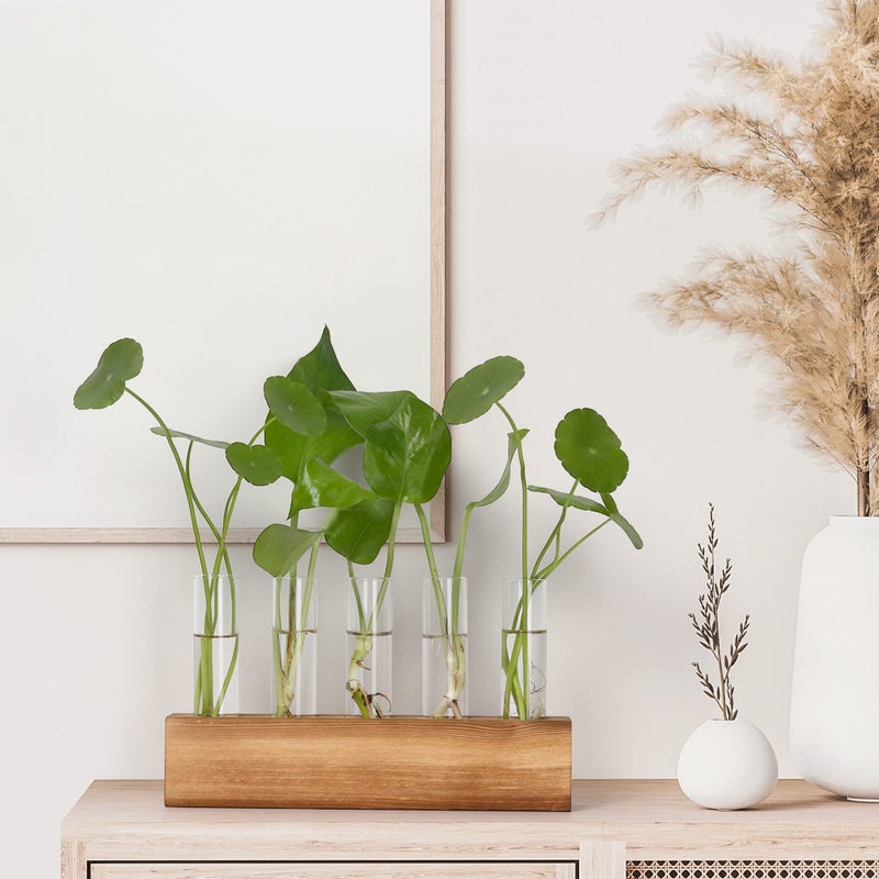 YIBOT Propagation Stations, Plant Terrarium with Wooden Stand, Birthday Gardening Gifts for Women Mom Plant Lovers,Home Office Desk Decor, 5 Glass Test Tubes Vases - Image 4