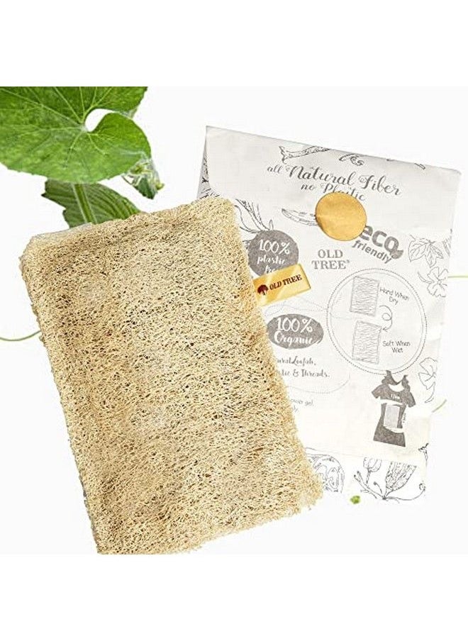 Old Tree - Loofah Rectangular Sape (Both Side Scrubber) Pack Of 4 Piece - Image 1
