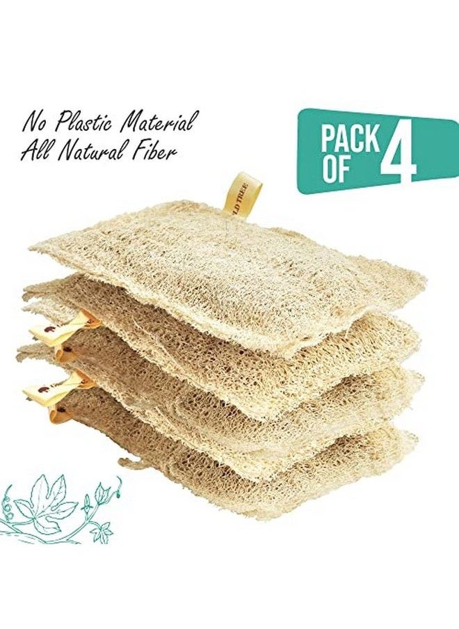 Old Tree - Loofah Rectangular Sape (Both Side Scrubber) Pack Of 4 Piece - Image 1