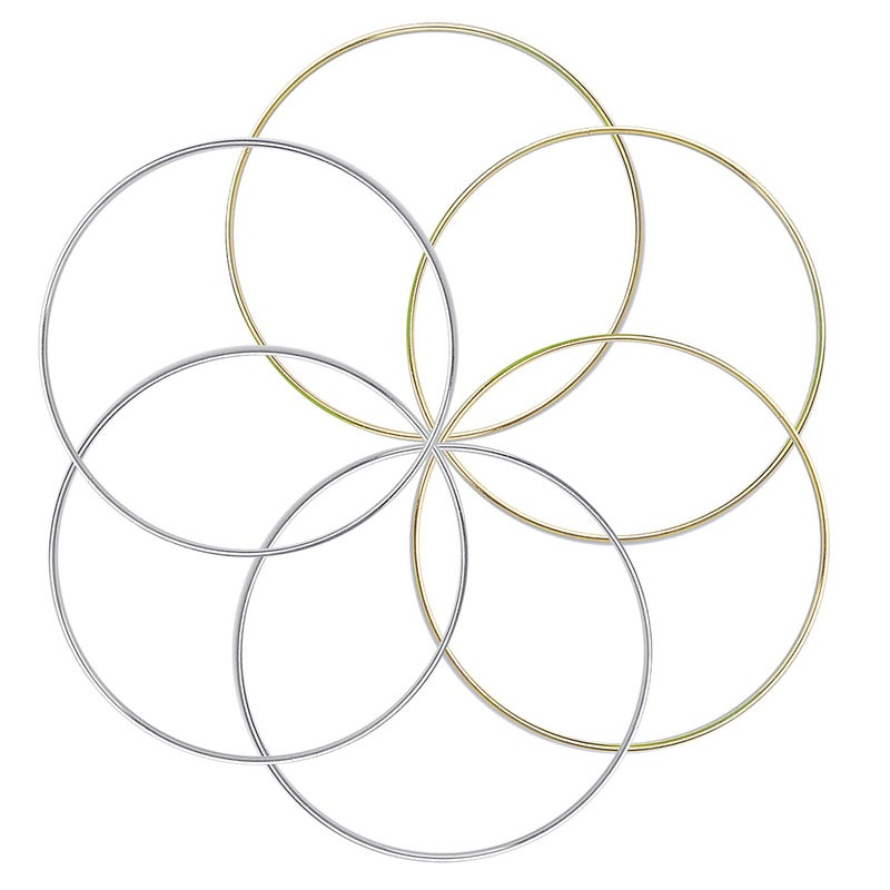 BronaGrand 6pcs Metal Rings Hoops Macrame Rings for Dream Catchers and Crafts,6 inch, Gold and Silver - Image 1