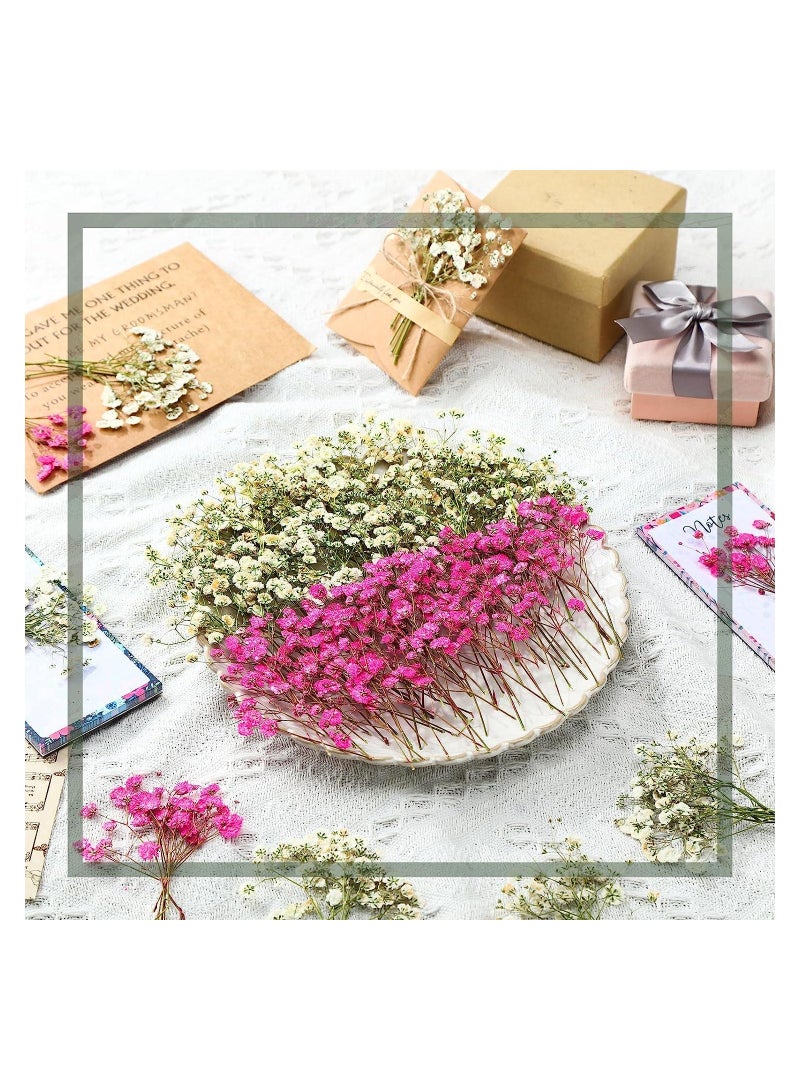 KASTWAVE Mini Dried Baby's Breath Flowers for Resin Art Craft DIY for DIY Crafts Nail Art Candle Soap Making Phone Case Jewelry Pendant Floral Decors - Image 2