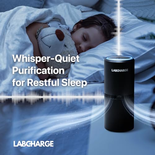Lab Charge Small Ionic Air Purifier for Home & Bedroom – Silent HEPA Filter – Covers 250 Sq Ft - Free Cleaner for Pets, Hair, Smoke, Dust, Odors & Dander – Compact & Black Design - Image 3