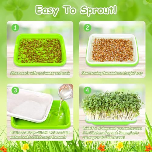 Legigo 5 Pack Green Seed Sprouter Trays- Soil-Free Cultivation Germination Tray, BPA Free Nursery Tray with Planting Paper for Indoors or Outdoors Sprouting Seeds, Grow Grass, Beans and More - Image 5