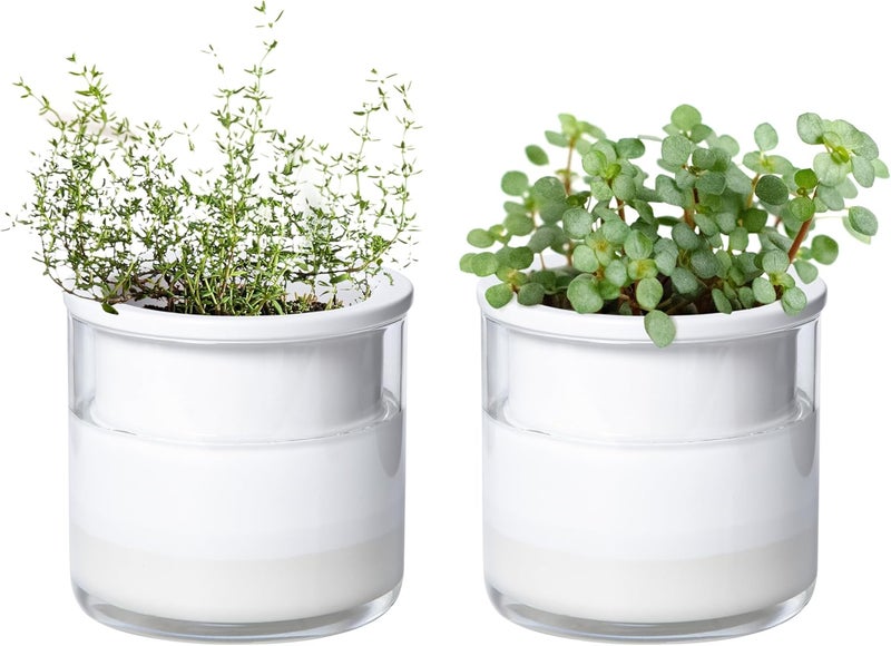 Phoenix Vine 4 Inch Self Watering Planter Pot, Design White Terracotta Pots for Plants, Indoor Cylinder Terra Cotta Pots with Glass Vase, Set of 2, 51-B-E-2 - Image 1