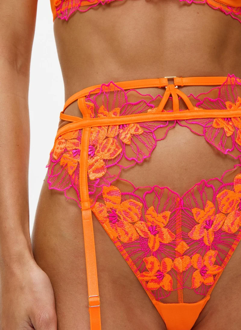 آن سمرز آن سمرز أمبيشس واسبي