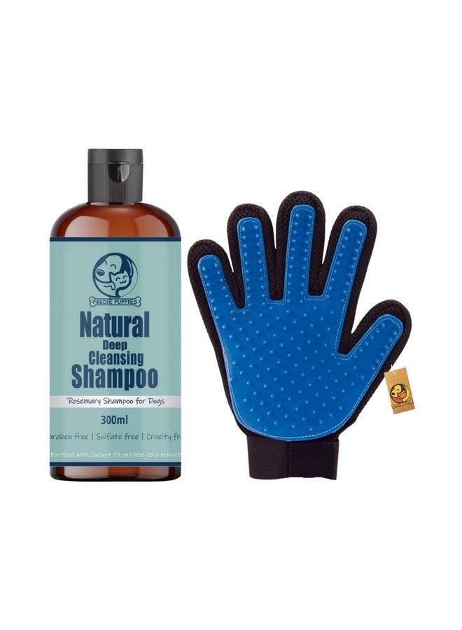 مجموعة العناية بالحيوانات الأليفة من شامبو الروزماري 300 مل مصنوع من زيت جوز الهند وخلاصة الصبار وقفاز إزالة الشعر الجانبي للكلاب - Image 1