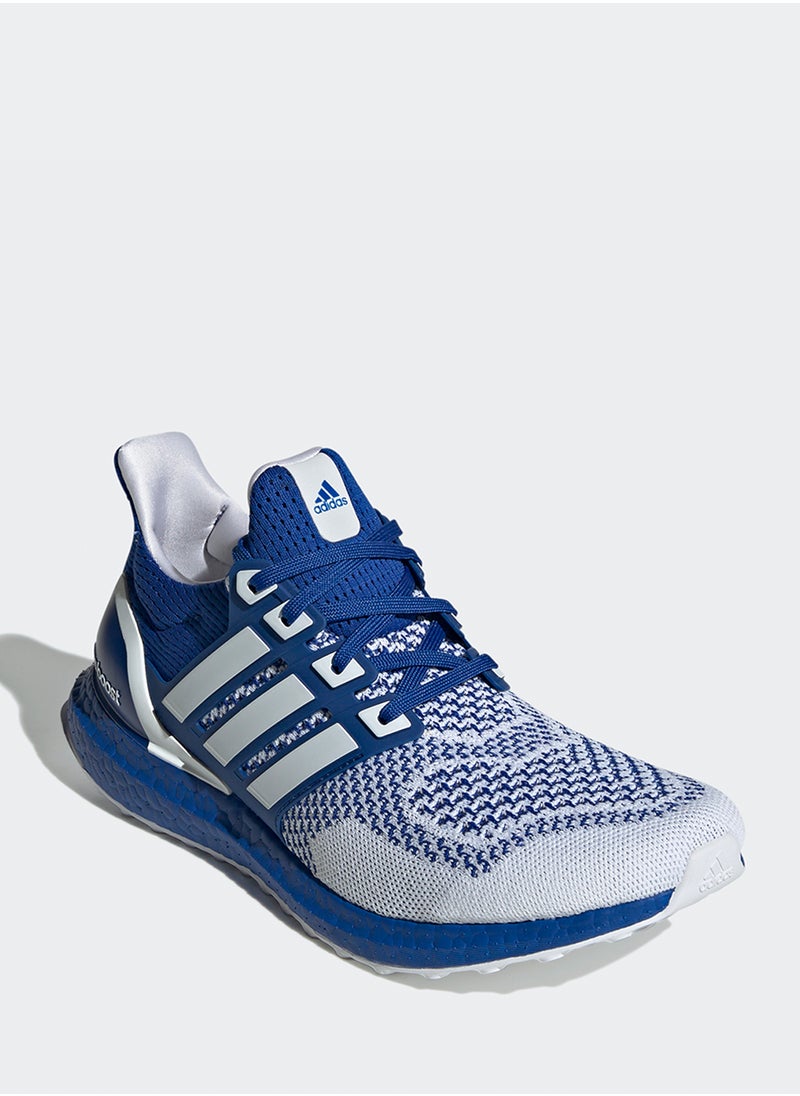 Ultraboost 1.0 - pzsku/Z2D6EB016BA454C3831A7Z/45/_/1741793644/d9cbbd09-e9d8-4785-afea-95a9f82406fa