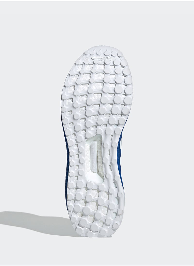 Ultraboost 1.0 - pzsku/Z2D6EB016BA454C3831A7Z/45/_/1741793653/7d91afa5-99be-405b-9e45-579001998adf
