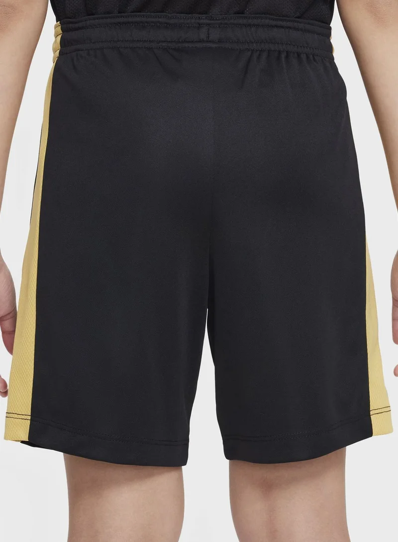 Nike Youth Academy 23 Shorts