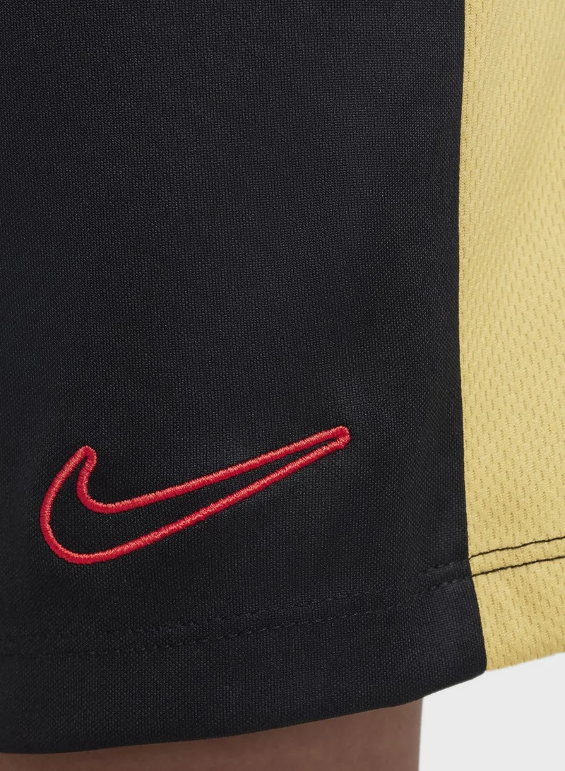 Nike Youth Academy 23 Shorts