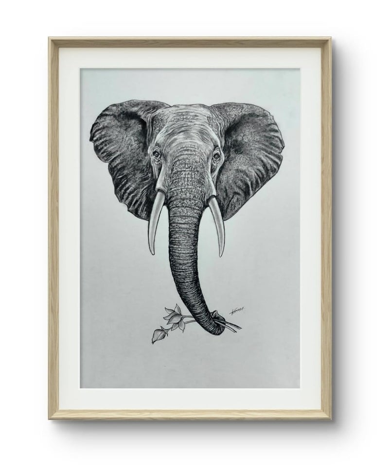 Generic Vama Paintings Elephant of Elegance Graphite Pencil Sketch Original Handmade Pencil Sketch on Handmade Sheet Framed Sketch for Home Decor 21 cm 297 cm  - Image 2