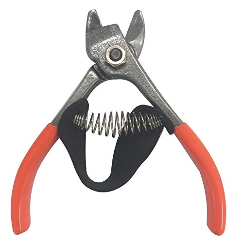 Jasper 5" Jasper Forged Steel Pruning Shears Orange Shears citrus picking snip. - Image 2