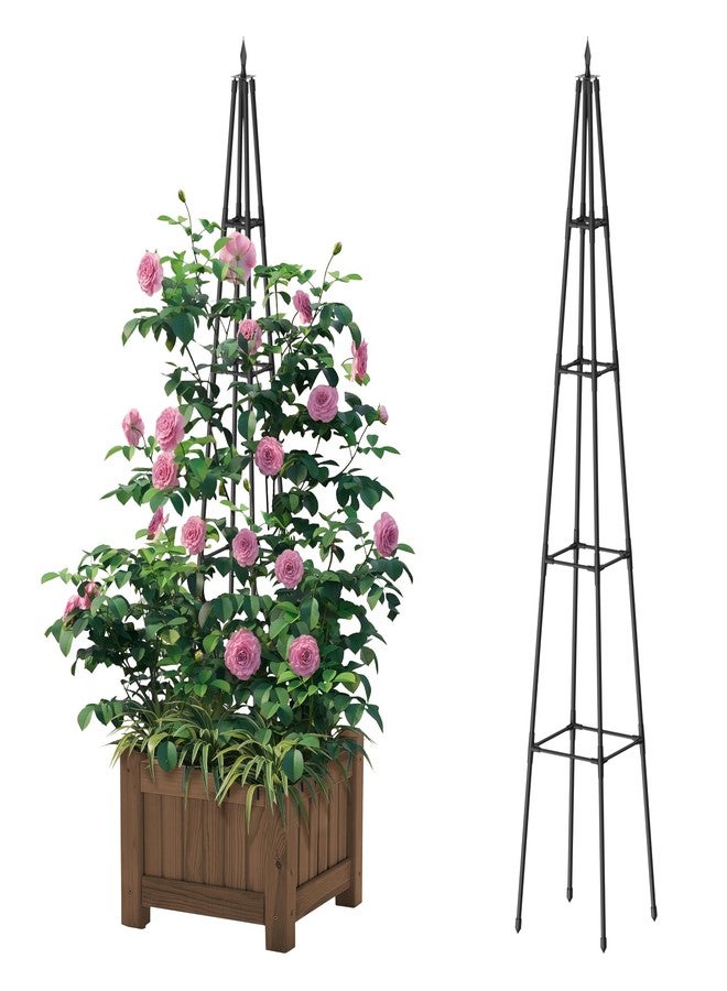 Hsundries 6FT Obelisk Trellis for Climbing Plants Outdoor, 16mm Rust-Proof Extra Thickened Plastic-Coated Metal Pipes, Indoor Climbing Support for Potted Plants, Vines, Flowers Stands,Black - Image 1