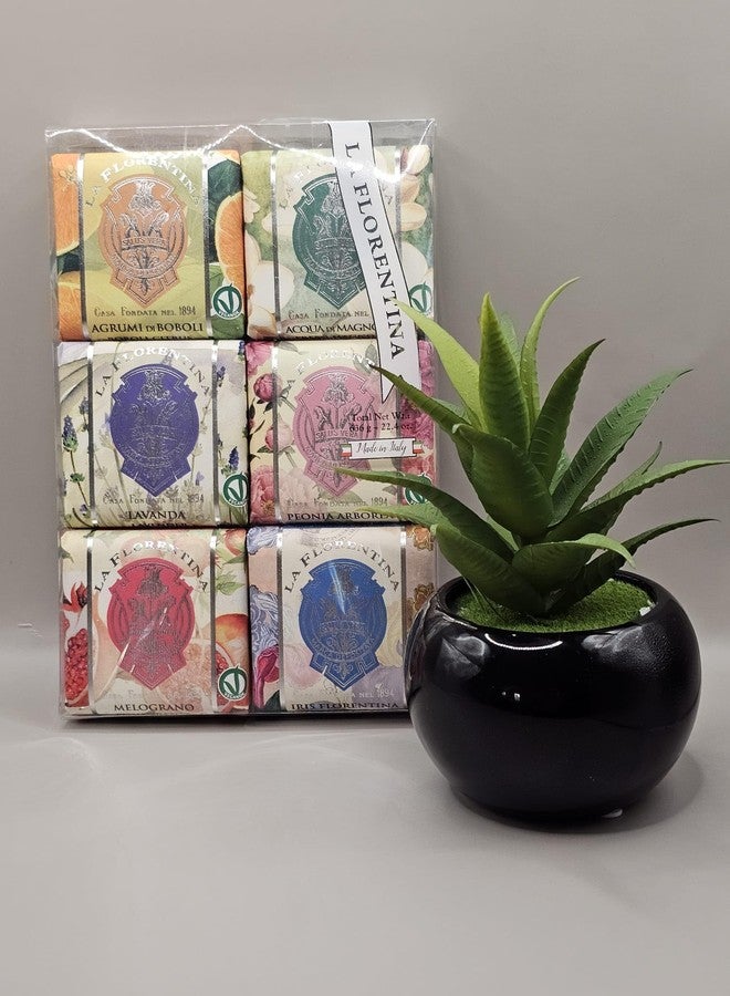 LA FLORENTINA Variety Soap 6 Pack, Agrumi de Boboli, Acqua Di Magnolia, Lavender, Peonia Arborea, Melograno, Iris Florentina, 3.7 Oz Each Bar, Imported from Italy - Image 2