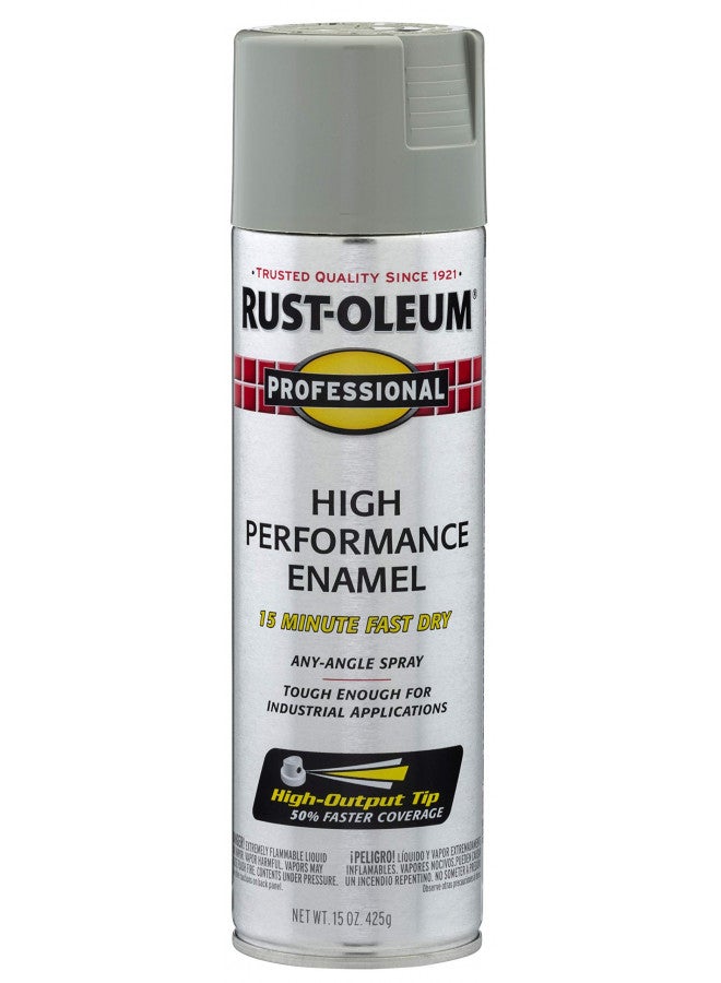 Rust-Oleum 7519838 Professional High Performance Enamel Spray Paint, 14 Oz, Stainless Steel
