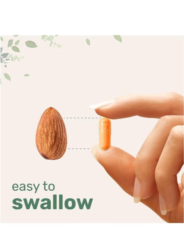 Micro Ingredients Turmeric Curcumin 1,000mg | 95% Curcuminoids with Black Pepper u0026 MCT Oil for Ultimate Absorption, No Filler, No GMO - 120 Vegetarian Capsules - Image 3