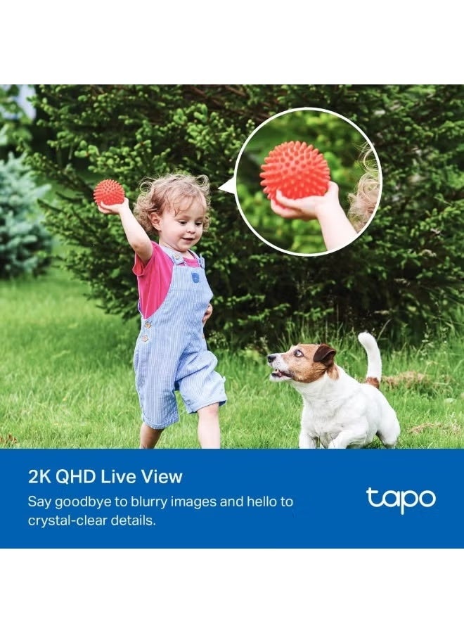 tapo TP-Link C425 Smart Wire-Free Security Camera Kit with Solar Panel – 2K QHD 4MP 1440p Video, Color Night Vision, AI Motion Detection, Two-Way Audio, IP66 Weatherproof, Wireless Setup, Continuous Power, Outdoor & Indoor Security for Home, Office & Commercial Use - Image 4
