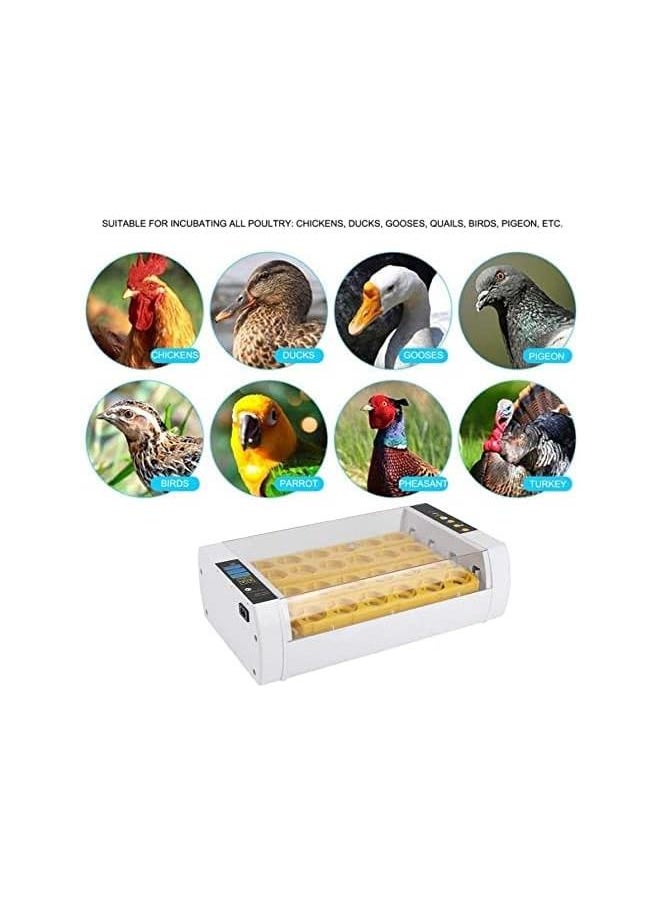 Generic - 24 Egg Incubator, Automatic Digital Automatic Egg Turner Clear Egg Turning Incubator Hatcher Equipped with Temperature Control and Ventilation for Hatching Poultry Eggs - Image 1